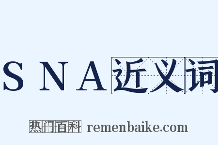 SNA近义词是什么意思的图片